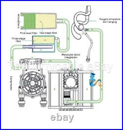 Home oxygen concentrater machine AntiInflammation, Energy, Brain, Atomizer, 2024