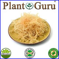Irish Sea Moss 1lb Whole Leaf 100% Pure Raw WildCrafted Chondrus Crispus Bulk