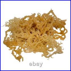 Irish Sea Moss WildCrafted Whole Leaf 100% Pure Raw Chondrus Crispus Bulk