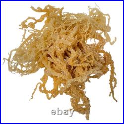 Irish Sea Moss WildCrafted Whole Leaf 100% Pure Raw Chondrus Crispus Bulk