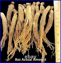 Korean Red Ginseng Root 6 year Whole roots Ships from USA Premium Grade