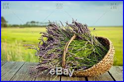 Lavender Essential Oil 100% Pure Oil, Free Shipping, Sold 647 Bottles