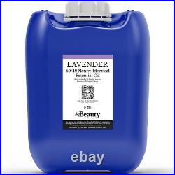 Lavender Essential Oil Large Wholesale Size Pure and Undiluted