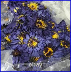 Lucid Dreaming Blue Lotus Fresh Dried Organic High Quality Flowers highly Scent