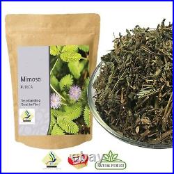 Mimosa Pudica 1 kg Shama Macka Loose leaves -Organic- Wild Grown Ceylon Herb
