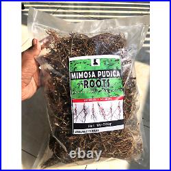 Mimosa Pudica roots Dried Sensitive Plant Root Lajwanti Premium Natural Quality