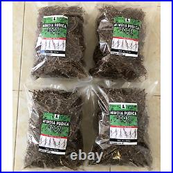 Mimosa Pudica roots Dried Sensitive Plant Root Lajwanti Premium Natural Quality