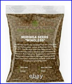 Moringa Oleifera Seeds WINGLESS Fresh Organic Semillas de Moringa Bulk Wholesale