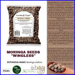 Moringa WINGLESS Seeds Semillas de Moringa oleifera Pepa Malunggay Wholesale