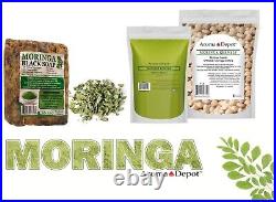 Moringa WINGLESS Seeds Semillas de Moringa oleifera Pepa Malunggay Wholesale