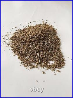 Moroccan Wormwood Artemisia Vulgaris Cleanse Anti Parasite Absinthium Tea Herb