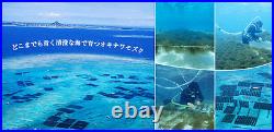 Okinawa Fucoidan (Kanehide Bio) 295mg x 180 From Japan (set of 3)