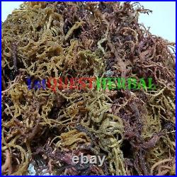 Organic Purple Irish Sea Moss I Wild Crafted Superfood I Raw Sun dried Seamoss