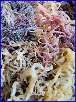 Organic Purple Irish Sea Moss I Wild Crafted Superfood I Raw Sun dried Seamoss