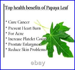 Organic papaya leave Capsule 600mg (carica papaya)Increase platelet count