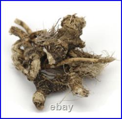 Osha Root WHOLE RARE HERB Wild Crafted (Ligusticum porteri) (Tribes, Infusions)