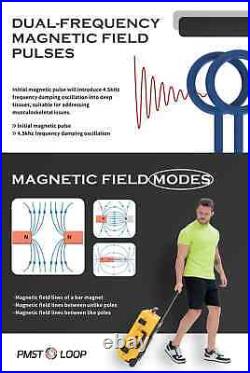 PMST Loop Physio Magneto Super Transduction Machine for Pain Injury Recovery