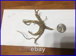 PRICE DROP! Rare Wild Ginseng Roots! Dug In WNC