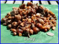 Piñon Pine Tree Sap/Resin/Pitch from SW New Mexico 1oz. 2lb. Incense, Salves, Etc