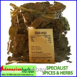 Purple Leaves Dry Graptophyllum Pictum Organic Herbs Spices Fresh Pure Premium