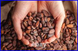 Raw Cacao / Cocoa Beans Whole Chocolate Arriba Nacional Bean 1 oz to 15 Lb Bulk