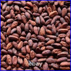 Raw Cacao / Cocoa Beans Whole Chocolate Arriba Nacional Bean 1 oz to 15 Lb Bulk