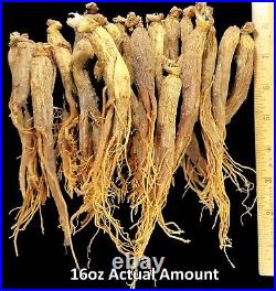 Red Panax Ginseng Root 6 year Whole root Ships from USA Korean Red Ginseng