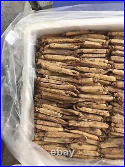 Red Panax Ginseng Root Korea Ginseng Direct Farmer