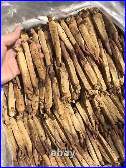 Red Panax Ginseng Root Korea Ginseng Direct Farmer