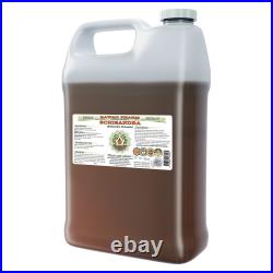 Schisandra (Schisandra Chinensis) Organic Dried Berry Liquid Extract
