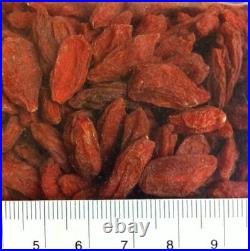 Supreme Grade Extra Large Goji Berries Wolfberry Berry On Sale Free Shipping