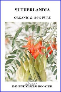 Sutherlandia frutescens Organic Herb