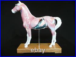 Veterinarian's Horse Equine Acupuncture Model Anatomical Medical Anatomy
