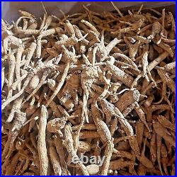 Wholesales! 1 LB 10 LB Wisconsin American Ginseng Root Wisconsin Grown