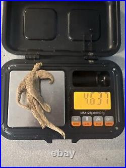 Wild Appalachian KY Ginseng Man-Root