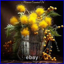 Yellow Mimosa Essential Oil, (Mimosa Dealbata). 100% Pure and natural