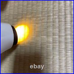 Zepter BIOPTRON Compact Home Light Therapy Lamp Working Japan